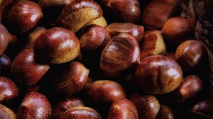 Castagne-Valle-Vigezzo