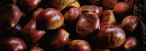 Castagne-S