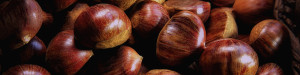 Castagne-T