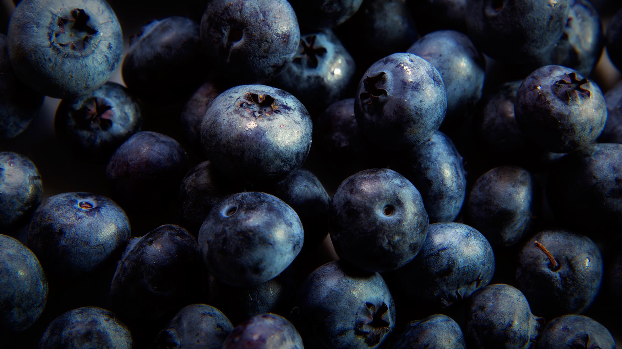 mirtilli-gastronomia-Valle-Vigezzo