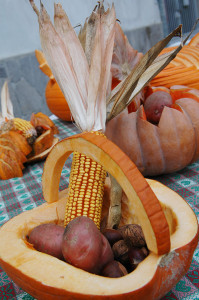 zucca3