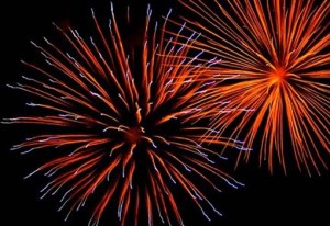 FioriDiFuoco2