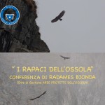 Rapaci-Valle-Vigezzo