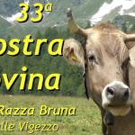 Mostra-Bovina-Valle-Vigezzo