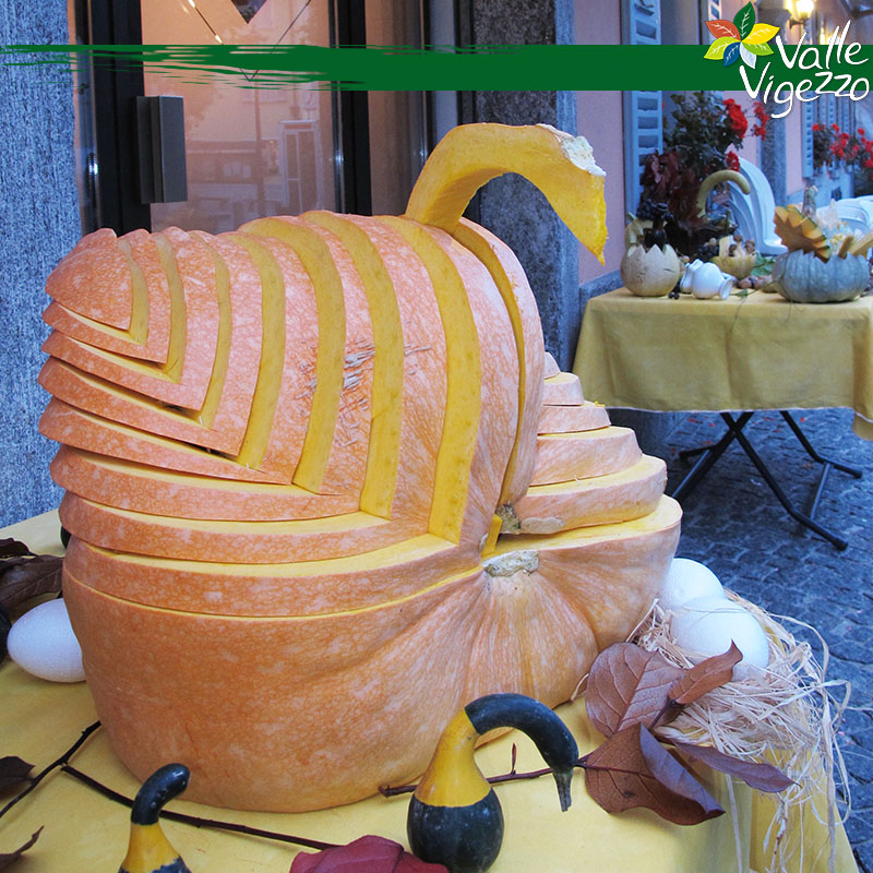 zucca1