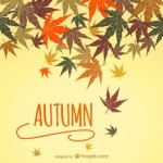 autunno-foglie-acero-Valle-Vigezzo