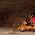 ornamento-arachidi-Valle-Vigezzo