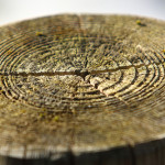 legno-Valle-Vigezzo