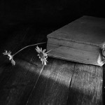 libro-Valle-Vigezzo