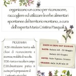 corso-erbe-orcesco-Valle-Vigezzo