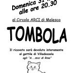 tombola gattile
