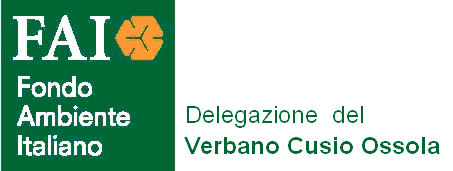 logo_nuovo_fai