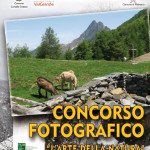 valle_vigezzo_eventi_concorso_malesco