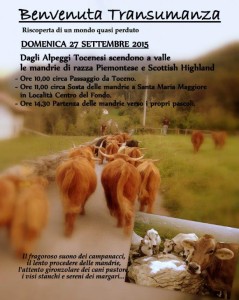 Transumanza_eventi_valle_vigezzo