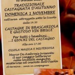 Locandina Castagnata 2015-2