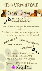 Raduno golden retrievers valle vigezzo hotel boschetto