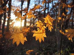 autunno