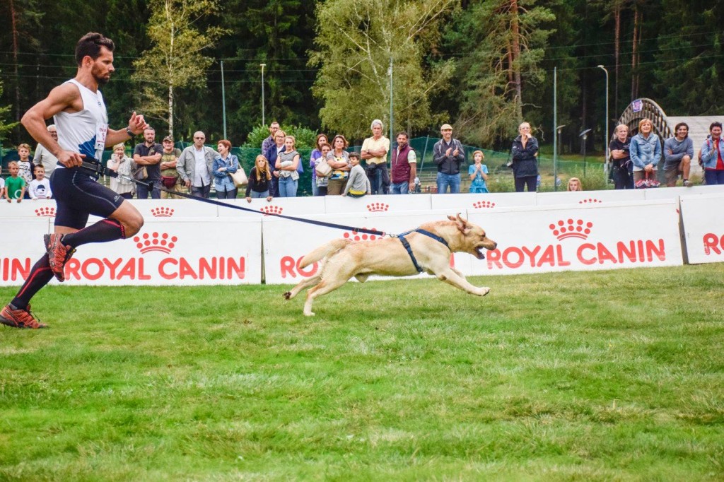 eventi-valle-vigezzo-canicross