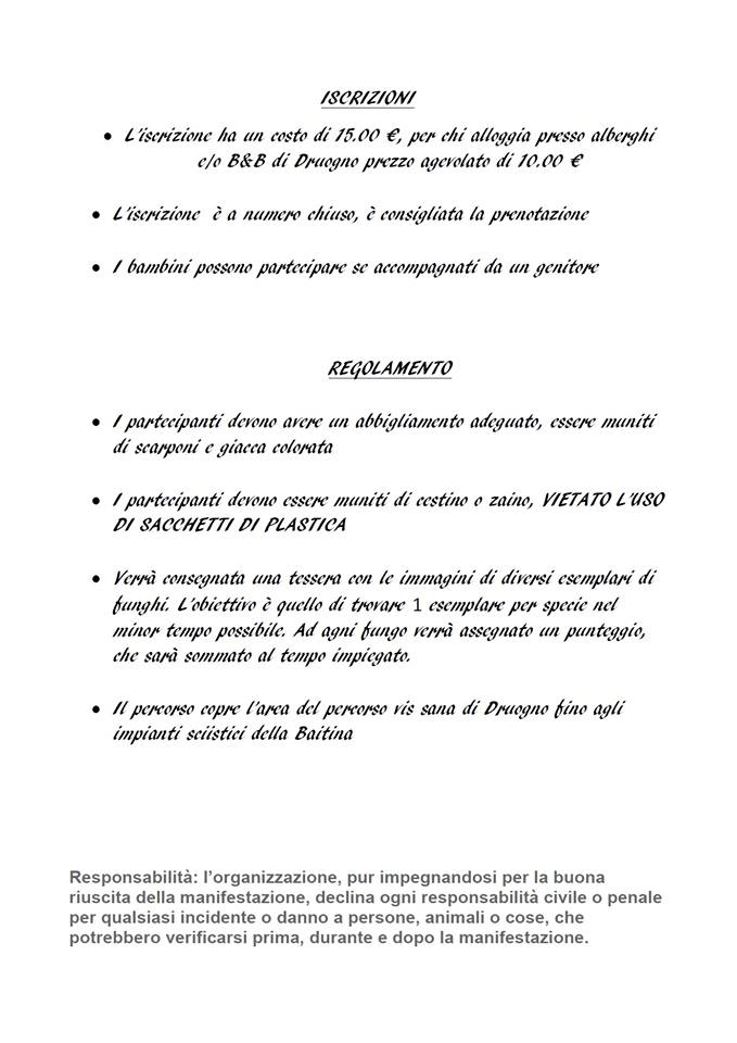 fungiatt - regolamento- evento