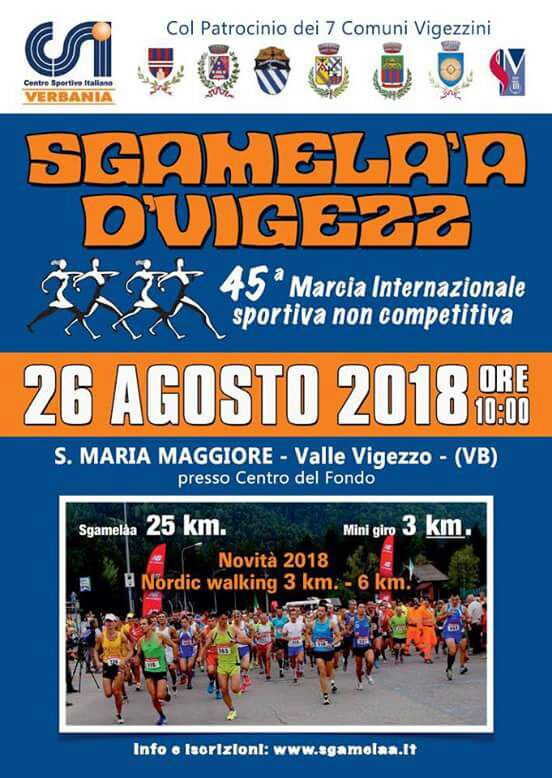 Sgamelaa-D-Vigezz