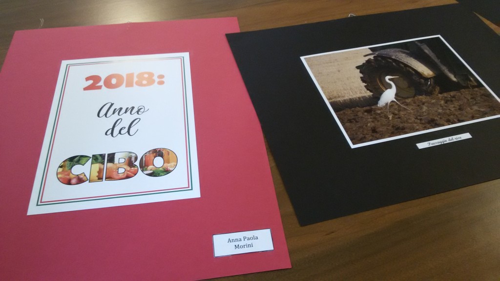 mostra Anna Maria Morini malesco